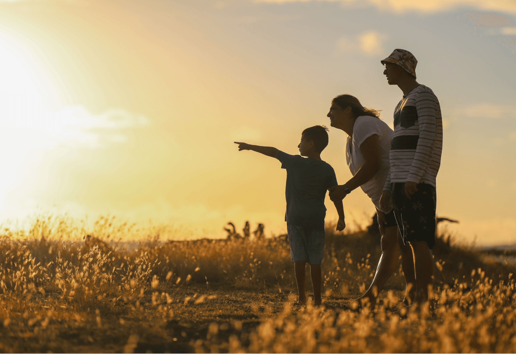 The Importance of a Family Roadmap: Clarity, Compassion, and Legacy with Memorial Information